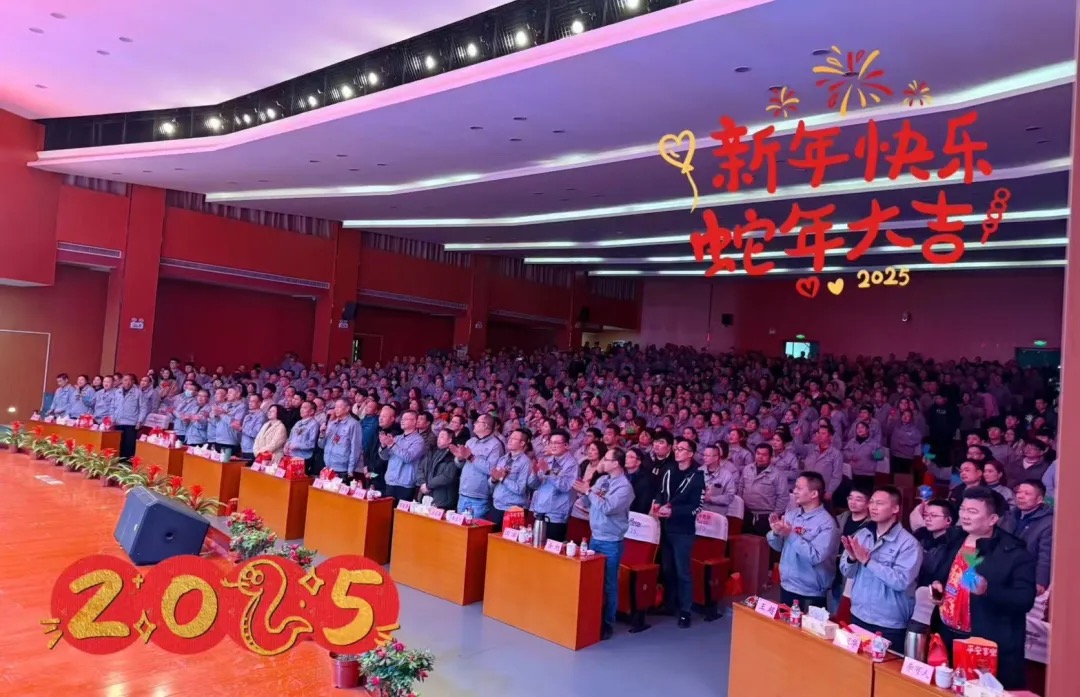 行稳致远 进而有为 | 洛凯股份2024总结表彰大会暨2025金蛇新春联欢会圆满落幕